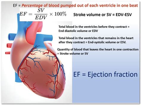 left ventricular ejection fraction lvef